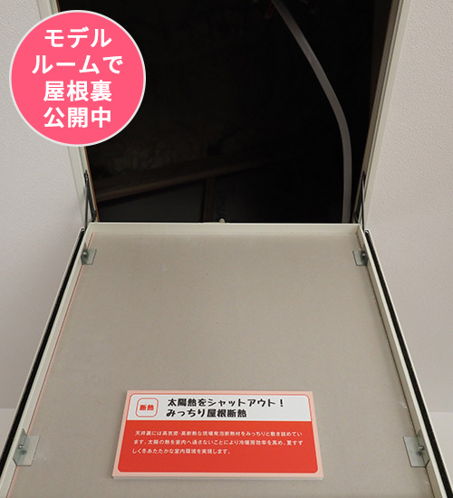 天井裏がどうなっているか、実際にお見せしています。