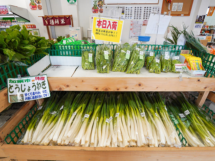 道の駅とうじょう